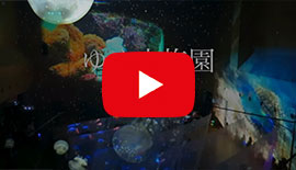 2016视频(日本)